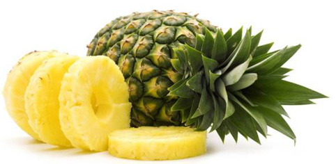 DISTRIBUIDOR DE Abacaxi NO BRASIL - Distribuidores - Informações sobre o Abacaxi, características do Abacaxi, vitaminas do Abacaxi, benefícios e propriedades do Abacaxi DISTRIBUIDOR DE Abacaxi NO BRASIL - Distribuidores - Informações sobre o Abacaxi, características do Abacaxi, vitaminas do Abacaxi, benefícios e propriedades do Abacaxi