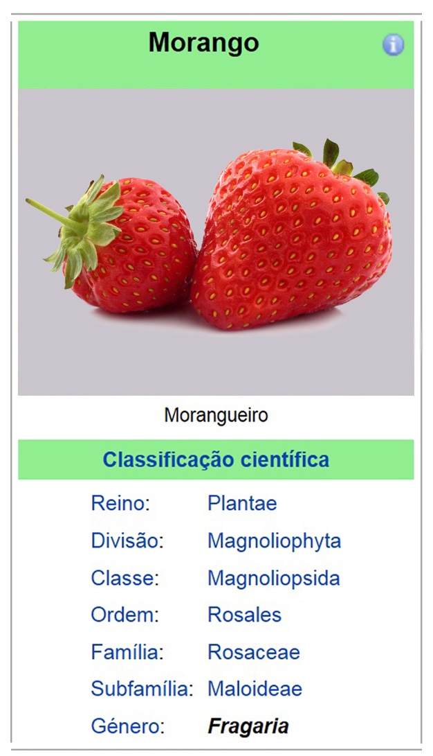 MORANGOS: Informaes sobre o Morango, caractersticas do morango, vitaminas do morango, benefcios e propriedades do morango Tudo o que eu preciso saber para consumir: Morangos Rico em vitaminas, o morango melhora a memria e combate o reumatismo